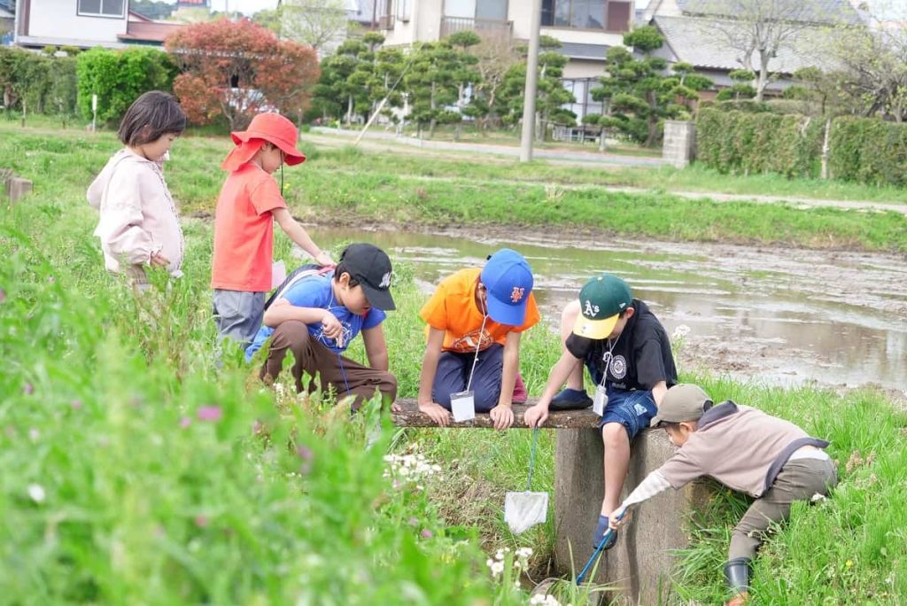 田んぼのがっこうプロジェクト