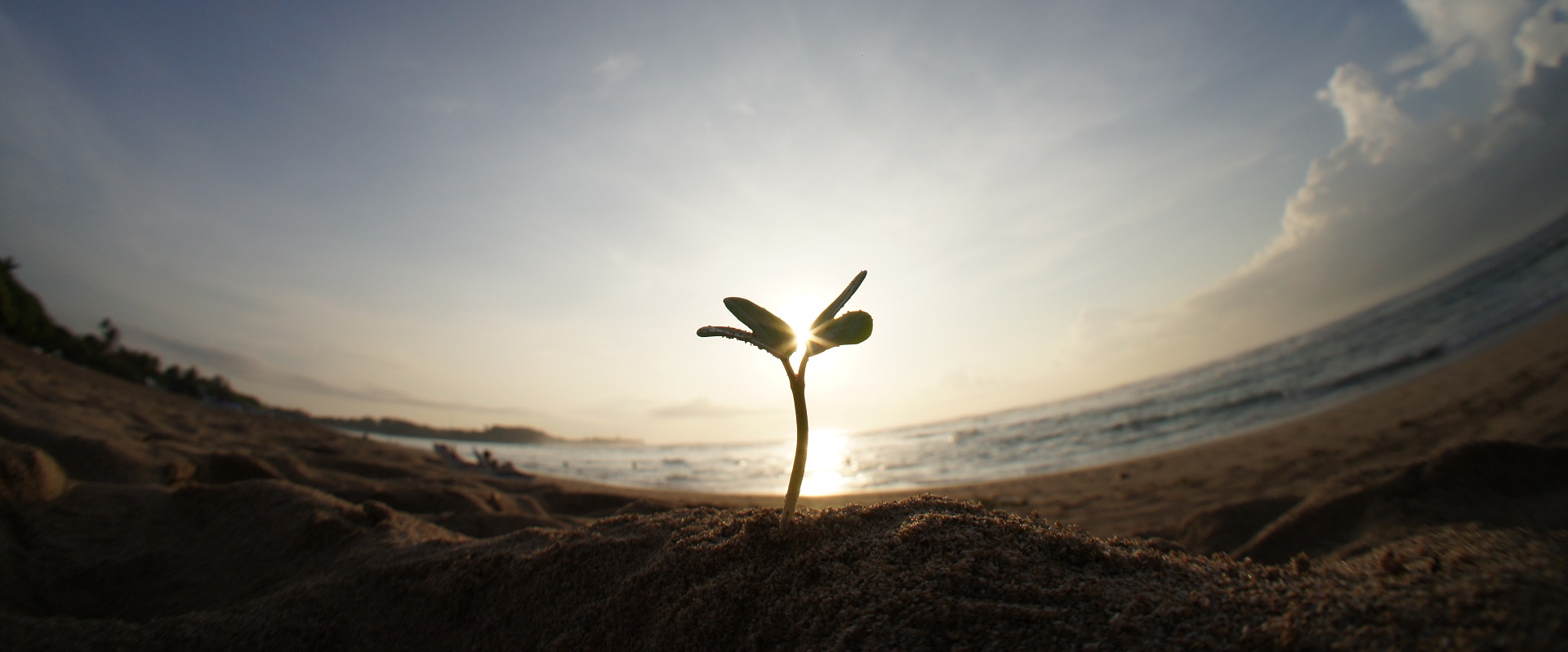 佐原のあしたPROJECT