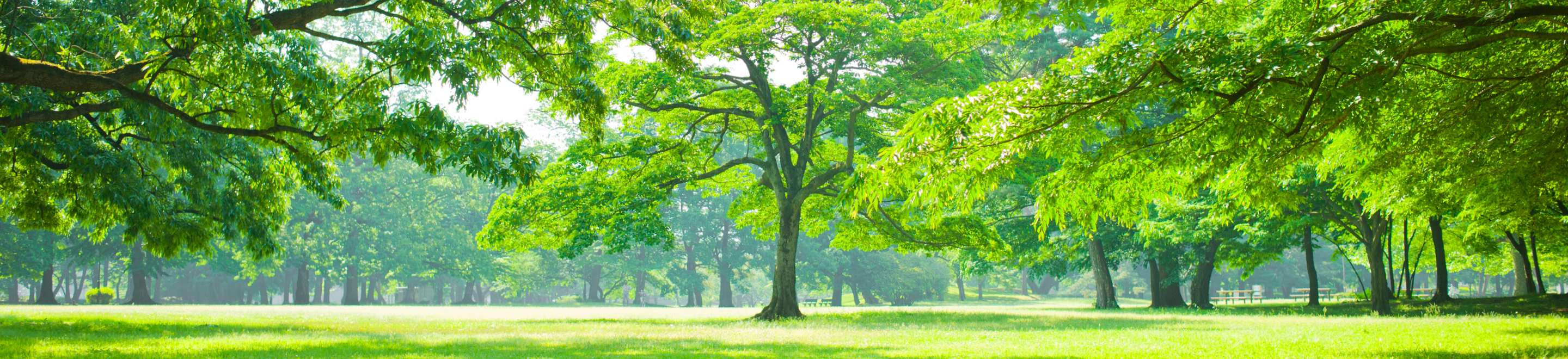 サステナビリティ