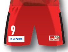 エヌアイデイのロゴが入ったバルドラール浦安ユニフォーム